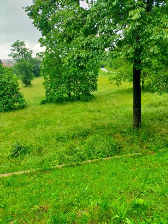 Il Bosco Incantato บอร์โก ซานดาลมัซโซ ภายนอก รูปภาพ